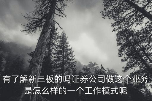 有了解新三板的嗎證券公司做這個業(yè)務(wù)是怎么樣的一個工作模式呢