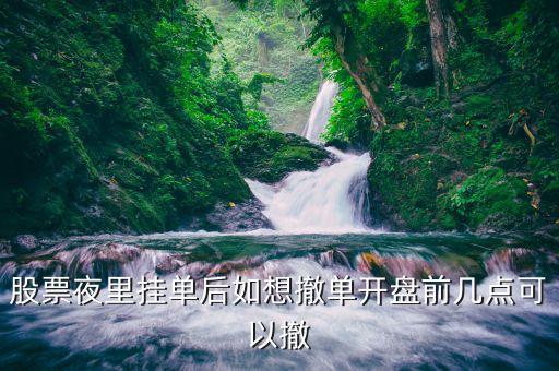 股票晚上掛單什么時候能撤單，股市零點(diǎn)掛單何時能撤單