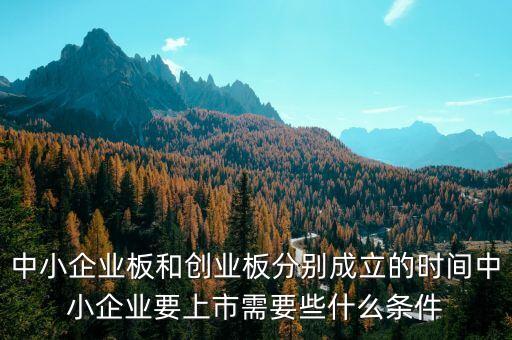 中小企業(yè)板什么時候開始的，那一年上市出現(xiàn)中小企業(yè)板