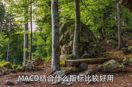 macd與什么指標(biāo)結(jié)合，MACD結(jié)合什么指標(biāo)比較好用