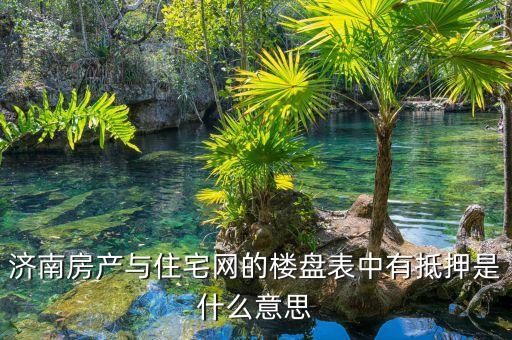 濟(jì)南房產(chǎn)與住宅網(wǎng)的樓盤表中有抵押是什么意思