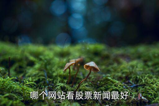 哪個(gè)網(wǎng)站看股票新聞最好