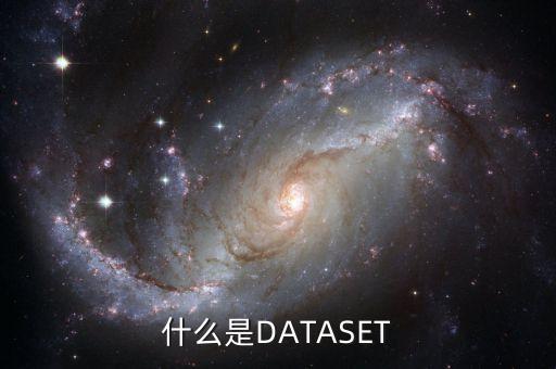 什么是DATASET