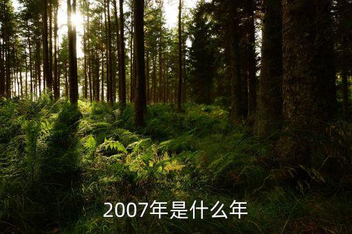 二零一七年是什么年，2007年是什么年