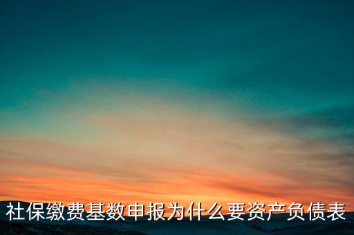 社保繳費(fèi)基數(shù)申報(bào)為什么要資產(chǎn)負(fù)債表