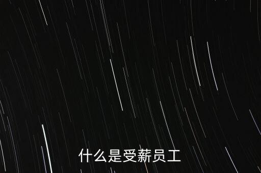 什么是受薪董事，受薪自雇的具體解釋是什么