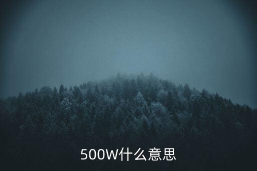 500萬股什么意思，500w是什么意思有知道的嗎