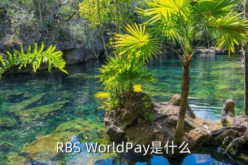 RBS WorldPay是什么