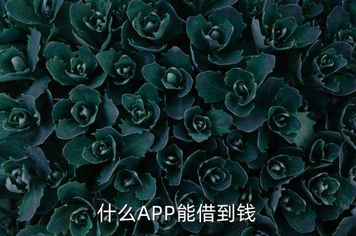 什么APP能借到錢