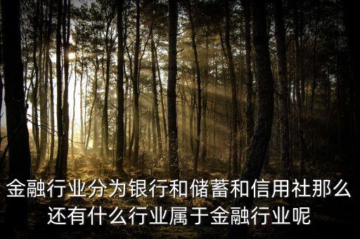 金融行業(yè)分為銀行和儲蓄和信用社那么還有什么行業(yè)屬于金融行業(yè)呢