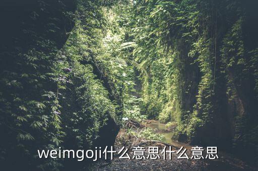 weimgoji什么意思什么意思