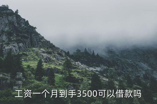 工資一個(gè)月到手3500可以借款嗎