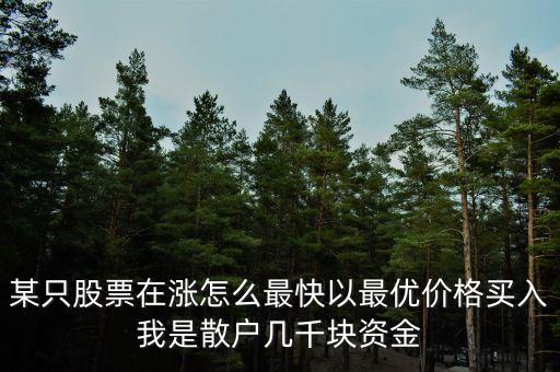 某只股票在漲怎么最快以最優(yōu)價格買入我是散戶幾千塊資金