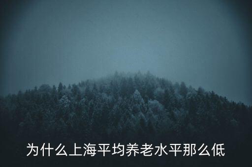 為什么上海平均養(yǎng)老水平那么低