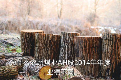 為什么兗州煤業(yè)AH股2014年年度業(yè)績不同