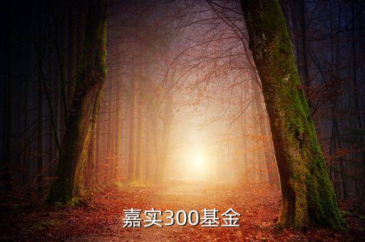 嘉實(shí)300是什么基金，嘉實(shí)300是什么類型的基金