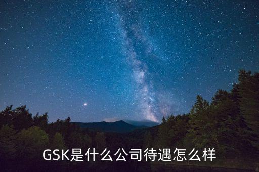 gsk公司的價值觀是什么，GSK是什么意思