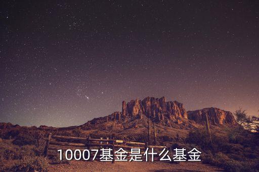 10007基金是什么基金