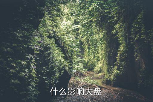 什么股票影響大盤(pán)，什么影響大盤(pán)