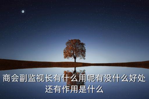 商會副監(jiān)視長有什么用呢有沒什么好處還有作用是什么