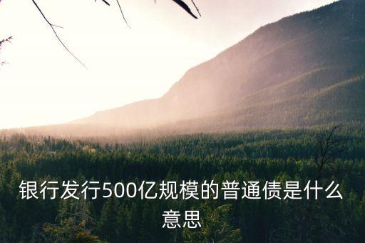 銀行發(fā)行500億規(guī)模的普通債是什么意思