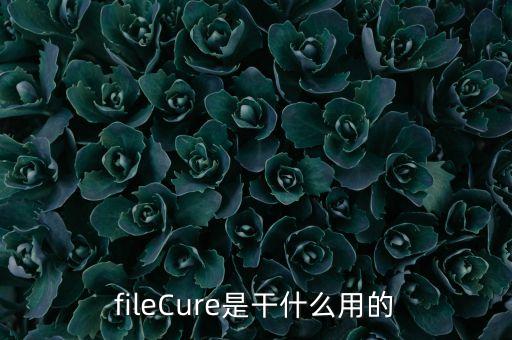 fileCure是干什么用的