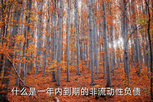 什么是一年內(nèi)到期的非流動(dòng)性負(fù)債