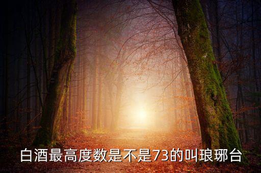 白酒最高度數(shù)是不是73的叫瑯琊臺(tái)