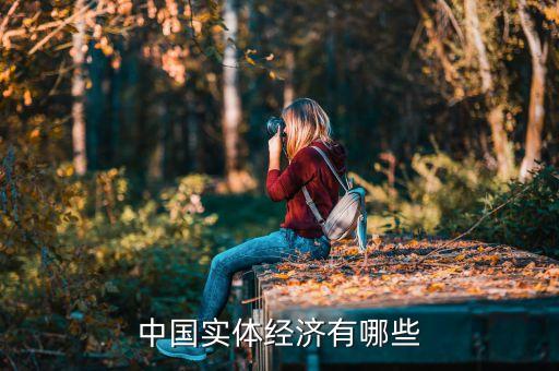 中國的實體經(jīng)濟是什么，中國的經(jīng)濟是什么