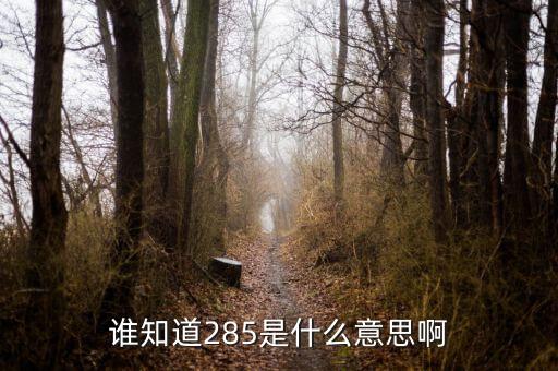 原油285線是什么意思，誰知道285是什么意思啊