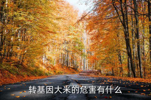 轉(zhuǎn)基因大米的危害有什么