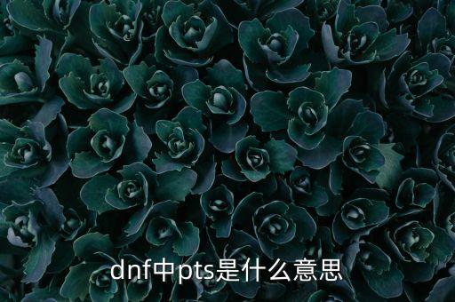 dnf中pts是什么意思