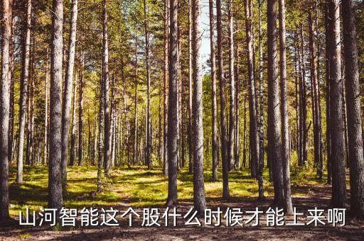 山河智能這個(gè)股什么時(shí)候才能上來啊