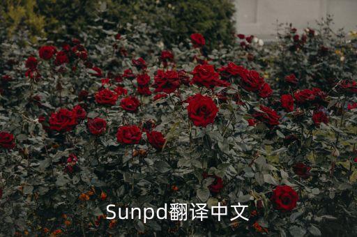 sun同上什么意思，Sunpd翻譯中文