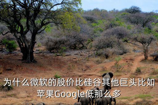 為什么微軟的股價(jià)比硅谷其他巨頭比如蘋(píng)果Google低那么多