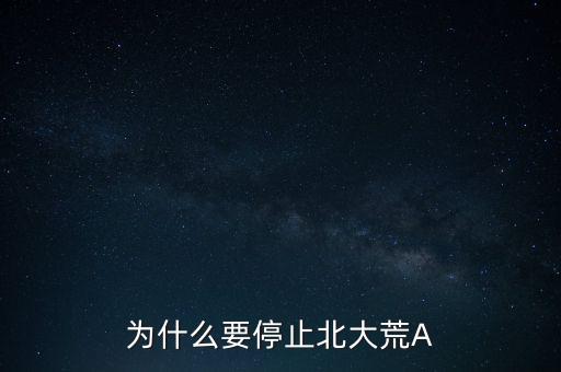 為什么要停止北大荒A