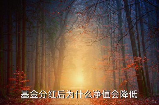 債券基金分紅為什么跌，基金分紅后為什么凈值會(huì)降低