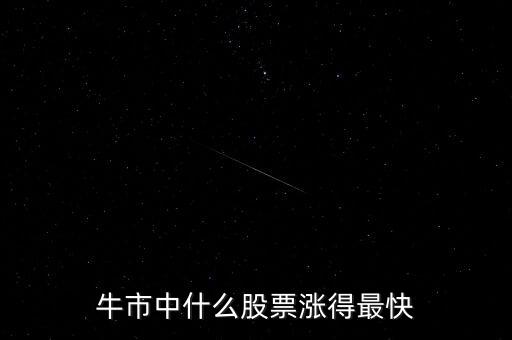 牛市中什么股票漲得最快