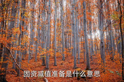 固資減值準(zhǔn)備是什么意思