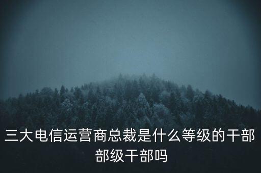 三大電信運營商總裁是什么等級的干部 部級干部嗎