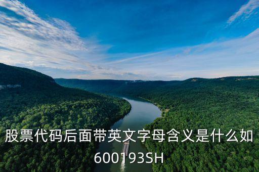 股票代碼后面帶英文字母含義是什么如600193SH