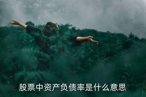 中國負債率什么意思，股票中資產負債率是什么意思