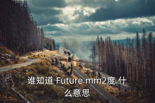 巴黎協(xié)議的2度什么意思，誰(shuí)知道 Future mm2度 什么意思