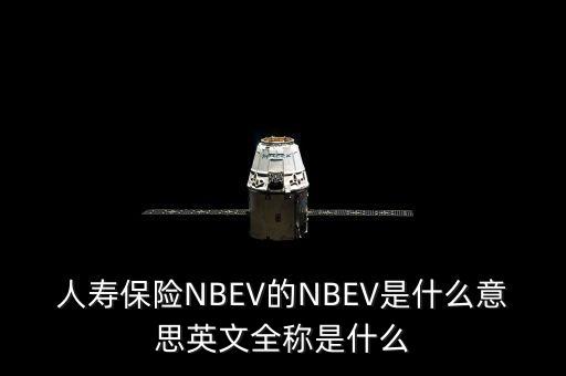 人壽保險(xiǎn)NBEV的NBEV是什么意思英文全稱是什么