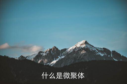 什么是微聚體