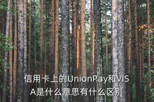 信用卡上的UnionPay和VISA是什么意思有什么區(qū)別