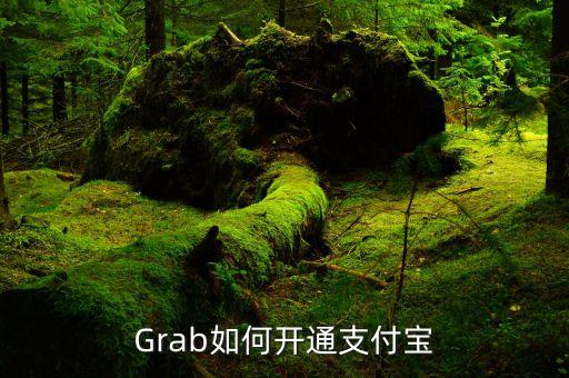 Grab如何開通支付寶