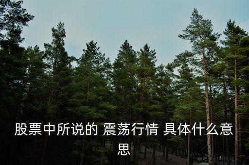 股票中所說的 震蕩行情 具體什么意思