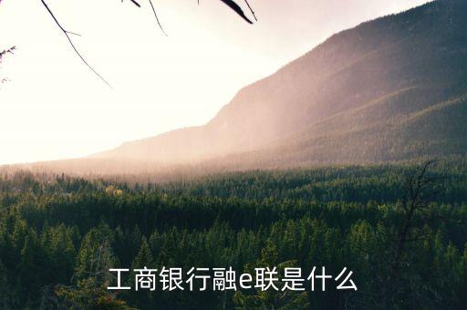 工商融e聯(lián)是什么，工商銀行融e聯(lián)是什么