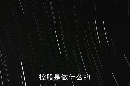 控股是做什么的